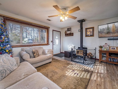 14310 305th Ave NW, Princeton, MN 55371 - photo 5