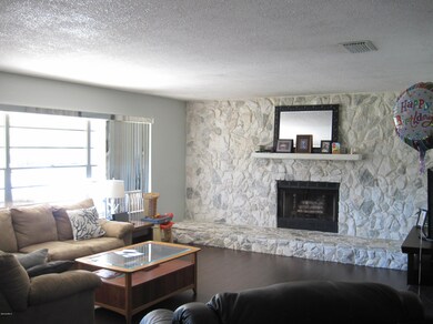 Living Room Fireplace