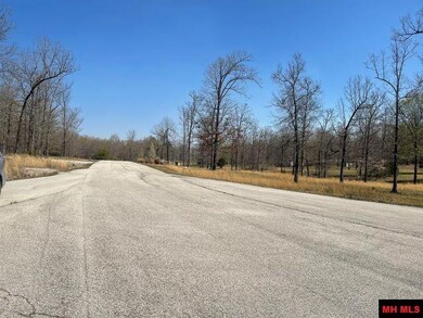 173 Ross Ln, Elizabeth, AR 72531 - photo 7