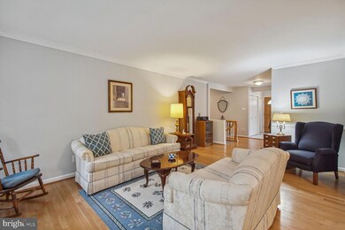 904 Cannon Rd, Silver Spring, MD 20904 - photo 6