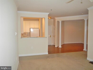 2310 14th St N unit 208, Arlington, VA 22201 - photo 6