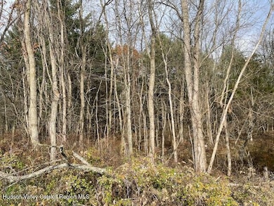 00 Schoharie Turnpike, Greenville, NY 12083 - photo 2