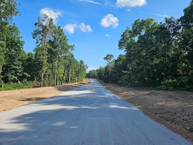 Lot 8 Deerwood Estates, Aurora, MO 65605 - photo 5