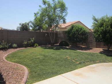 View of back yard