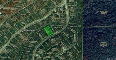 Lot 18 Blackfoot Dr, Holiday Island, AR 72631 - photo 2