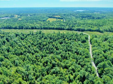 2) Montsweag Woods, Foye Road, Wiscasset