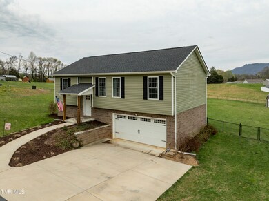 90 N Carr Ln, Fall Branch, TN 37656 - photo 3