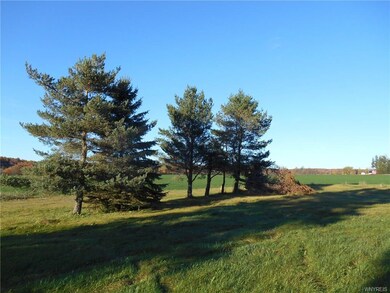 2971 Route 39, Bliss, NY 14024 - photo 3