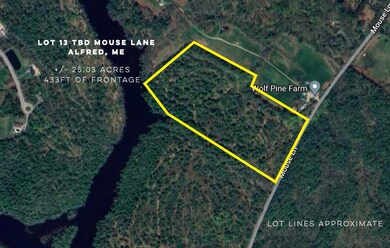 lot 13 mouse lane