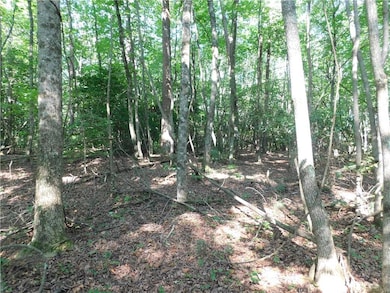 00 Chester Rd, Dahlonega, GA 30533 - photo 4