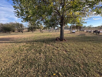 119 Theresa Dr, Graham, TX 76450 - photo 5