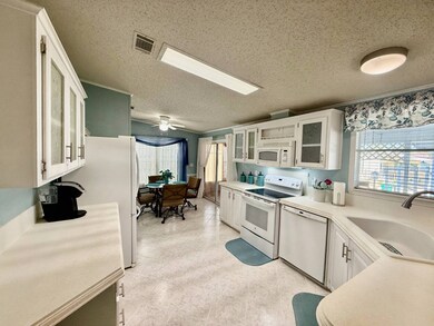 929 W Norman St, Lady Lake, FL 32159 - photo 5