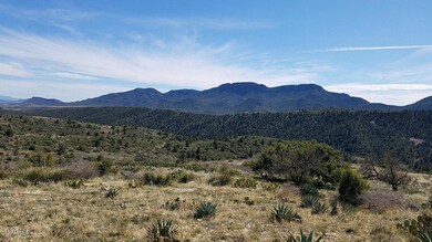 View of Mescal Mountains B