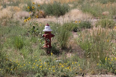 IMG_9253