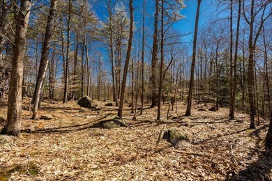 1006 Browns Way, Henniker, NH 03242 - photo 4