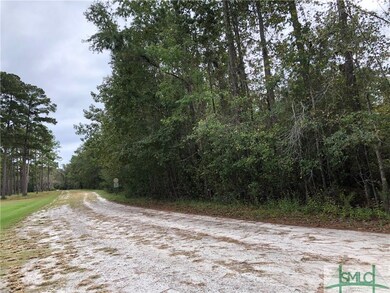 0 Ackerman Rd, Rincon, GA 31326 - photo 2