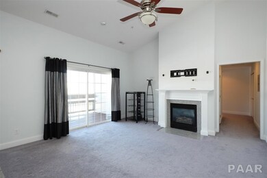 4527 N Tallgrass Ln unit 201, Peoria, IL 61615 - photo 2