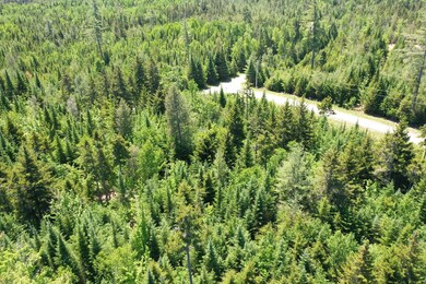 DJI_0389