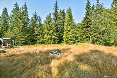 1381 Slide Creek Rd, Longview, WA 98632 - photo 7