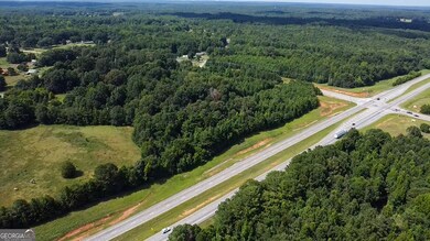 3128 High Falls Rd, Griffin, GA 30223 - photo 6