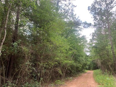 001 Pin Oak Dr, Plantersville, TX 77363 - photo 2