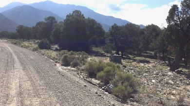 3514 Forest Trail Overlook, Crestone, CO 81143 - photo 7