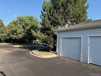 9555 Deerhorn Ct unit 1, Parker, CO 80134 - photo 5