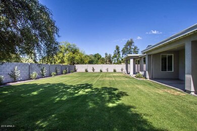 BEAUTIFUL BACKYARD
