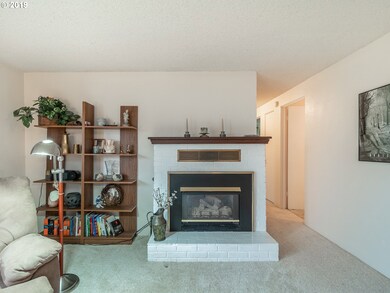 Fireplace Insert