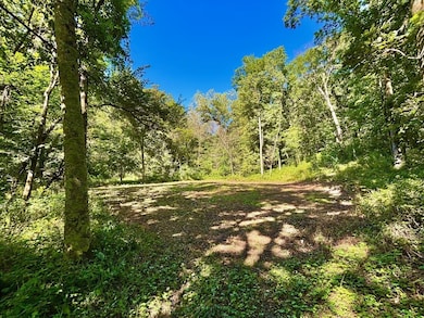 0 E Burns Valley Rd unit 1933975, Wilson, MN 55987 - photo 4