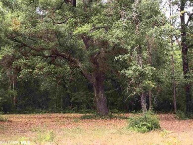 0 New Hope Church Rd, Robertsdale, AL 36567 - photo 2