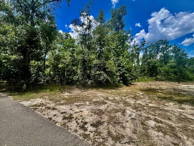 0 SW 50th Ln, Cross City, FL 32628 - photo 3