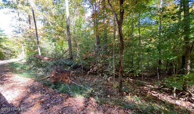 River View Fall164