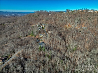 TBD Ladys Fern Trail unit 10, Laurel Park, NC 28739 - photo 4