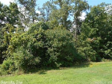 00 W Main, Heber Springs, AR 72543 - photo 7