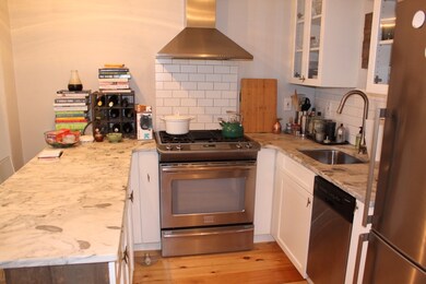 98 W Concord St unit 2, Boston, MA 02118 - photo 7