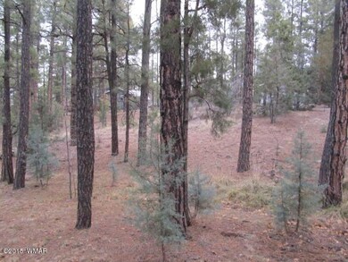 1241N42Drive (7)