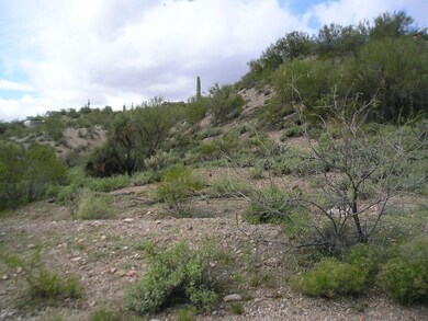 LOWER AREA