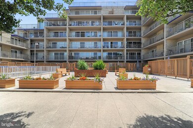 Patrician Towers unit 102, Rehoboth Beach, DE 19971 - photo 2