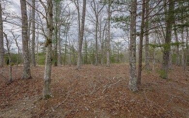 Additional View
