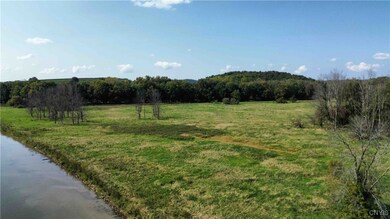 00 Hickory Island, Brutus, NY 13166 - photo 6