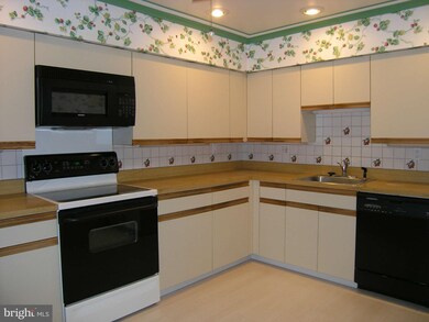 3 Southerly Ct unit 301, Towson, MD 21286 - photo 4