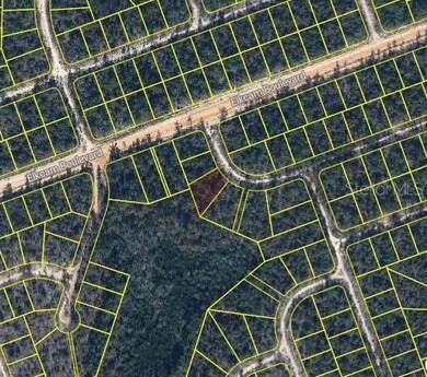 0 Kings Dr unit MFRO6327789, Chipley, FL 32428 - photo 2