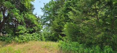 0000 Old Sadler Rd, Sadler, TX 76264 - photo 6