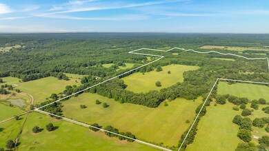 00 Harned Ln, Enola, AR 72047 - photo 3