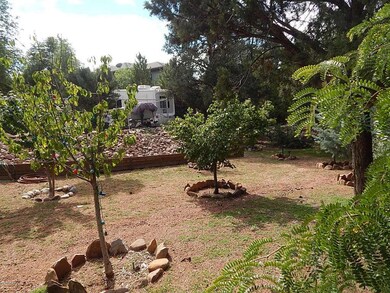 Backyard 4