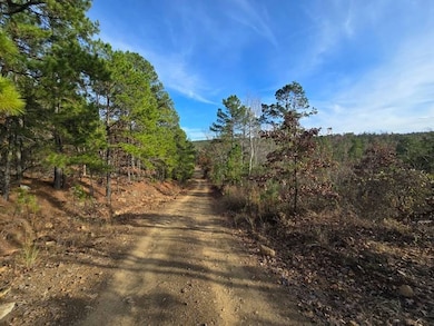 100 Tbd Heavener Oklahoma, Heavener, OK 74937 - photo 6