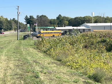 3509 E Lemon Creek Rd, Berrien Springs, MI 49103 - photo 5