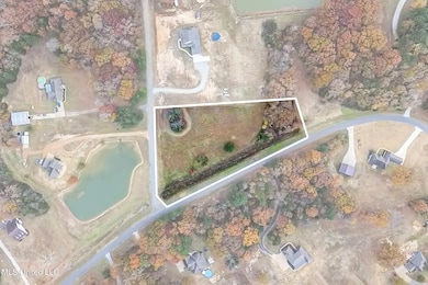 14367 Valley View, Byhalia, MS 38611 - photo 4