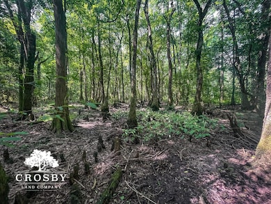 0 Spring Hill Rd, Red Springs, NC 28377 - photo 7